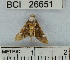  ( - YB-BCI26651)  @12 [ ] No Rights Reserved  Unspecified Unspecified
