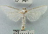  ( - YB-BCI27191)  @14 [ ] No Rights Reserved  Unspecified Unspecified