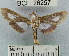  ( - YB-BCI26257)  @13 [ ] No Rights Reserved  Unspecified Unspecified