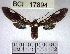  ( - YB-BCI17894.2)  @11 [ ] No Rights Reserved  Unspecified Unspecified