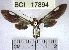  ( - YB-BCI17894.2)  @11 [ ] No Rights Reserved  Unspecified Unspecified