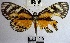  ( - YB-BCI171193)  @11 [ ] No Rights Reserved  Unspecified Unspecified