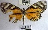  ( - YB-BCI171193)  @11 [ ] No Rights Reserved  Unspecified Unspecified
