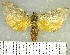  ( - YB-BCI174650)  @11 [ ] No Rights Reserved  Unspecified Unspecified