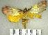  ( - YB-BCI183406)  @11 [ ] No Rights Reserved  Unspecified Unspecified
