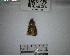  ( - YB-BCI184661)  @11 [ ] No Rights Reserved  Unspecified Unspecified