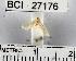  ( - YB-BCI27176)  @12 [ ] No Rights Reserved  Unspecified Unspecified