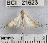  ( - YB-BCI21623)  @12 [ ] No Rights Reserved  Unspecified Unspecified