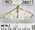  ( - YB-BCI2857)  @14 [ ] No Rights Reserved  Unspecified Unspecified