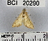  ( - YB-BCI20290)  @11 [ ] No Rights Reserved  Unspecified Unspecified