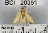  ( - YB-BCI20351)  @12 [ ] No Rights Reserved  Unspecified Unspecified