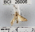  ( - YB-BCI26006)  @12 [ ] No Rights Reserved  Unspecified Unspecified