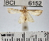  ( - YB-BCI6152)  @11 [ ] No Rights Reserved  Unspecified Unspecified