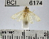  ( - YB-BCI6174)  @12 [ ] No Rights Reserved  Unspecified Unspecified
