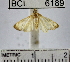  ( - YB-BCI6189)  @12 [ ] No Rights Reserved  Unspecified Unspecified