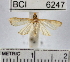  ( - YB-BCI6247)  @13 [ ] No Rights Reserved  Unspecified Unspecified
