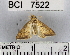  ( - YB-BCI7522)  @13 [ ] No Rights Reserved  Unspecified Unspecified