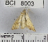  ( - YB-BCI8003)  @13 [ ] No Rights Reserved  Unspecified Unspecified