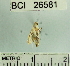  ( - YB-BCI26581)  @12 [ ] No Rights Reserved  Unspecified Unspecified