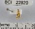  ( - YB-BCI22820)  @12 [ ] No Rights Reserved  Unspecified Unspecified