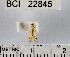  ( - YB-BCI22845)  @12 [ ] No Rights Reserved  Unspecified Unspecified