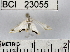 ( - YB-BCI23055)  @12 [ ] No Rights Reserved  Unspecified Unspecified