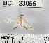  ( - YB-BCI23055)  @12 [ ] No Rights Reserved  Unspecified Unspecified