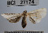  ( - YB-BCI27174)  @11 [ ] No Rights Reserved  Unspecified Unspecified