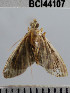  ( - YB-BCI44107)  @12 [ ] No Rights Reserved  Unspecified Unspecified