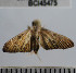  ( - YB-BCI45475)  @11 [ ] No Rights Reserved  Unspecified Unspecified
