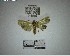  ( - YB-BCI194654)  @11 [ ] No Rights Reserved  Unspecified Unspecified