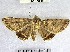  ( - YB-BCI177291)  @11 [ ] No Rights Reserved  Unspecified Unspecified
