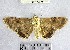  ( - YB-BCI177291)  @11 [ ] No Rights Reserved  Unspecified Unspecified