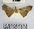  ( - YB-BCI33062)  @11 [ ] No Rights Reserved  Unspecified Unspecified