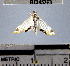  ( - YB-BCI45363)  @12 [ ] No Rights Reserved  Unspecified Unspecified
