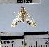  ( - YB-BCI45811)  @12 [ ] No Rights Reserved  Unspecified Unspecified