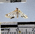  ( - YB-BCI48632)  @12 [ ] No Rights Reserved  Unspecified Unspecified