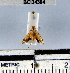 ( - YB-BCI34304)  @12 [ ] No Rights Reserved  Unspecified Unspecified