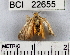  ( - YB-BCI22655)  @13 [ ] No Rights Reserved  Unspecified Unspecified
