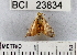  ( - YB-BCI23834)  @13 [ ] No Rights Reserved  Unspecified Unspecified