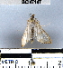  ( - YB-BCI47147)  @12 [ ] No Rights Reserved  Unspecified Unspecified