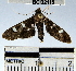  ( - YB-BCI32115)  @13 [ ] No Rights Reserved  Unspecified Unspecified