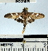  ( - YB-BCI33029)  @13 [ ] No Rights Reserved  Unspecified Unspecified