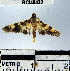  ( - YB-BCI48432)  @12 [ ] No Rights Reserved  Unspecified Unspecified