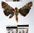  ( - YB-BCI33021)  @13 [ ] No Rights Reserved  Unspecified Unspecified