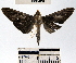  ( - YB-BCI34131)  @13 [ ] No Rights Reserved  Unspecified Unspecified