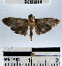  ( - YB-BCI33314)  @11 [ ] No Rights Reserved  Unspecified Unspecified
