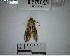  ( - YB-BCI191643)  @11 [ ] No Rights Reserved  Unspecified Unspecified