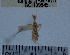  ( - YB-BCI109945.2)  @11 [ ] No Rights Reserved  Unspecified Unspecified