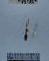  ( - YB-BCI111829.2)  @11 [ ] No Rights Reserved  Unspecified Unspecified
